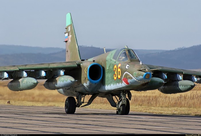 Cường kích Sukhoi Su-25 ảnh 1
